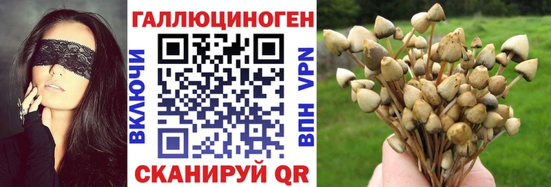 hydra ТОР  где продают   Котлас  Галлюциногенные грибы мицелий 