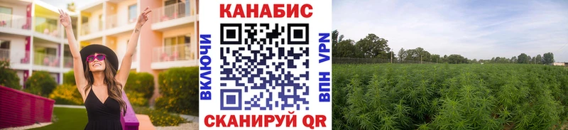 как найти закладки  Котлас  shop Telegram  МАРИХУАНА марихуана 